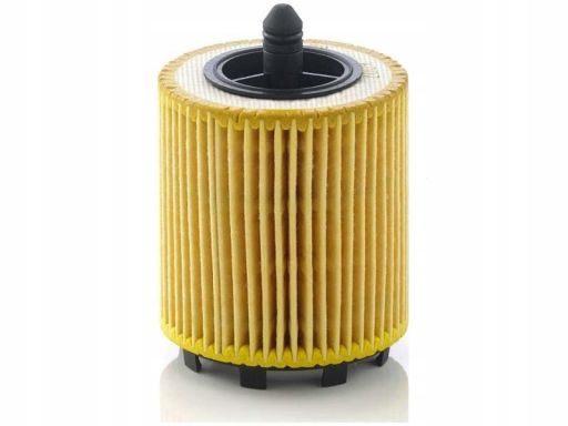 Filtr Oleju Hu 6007 X