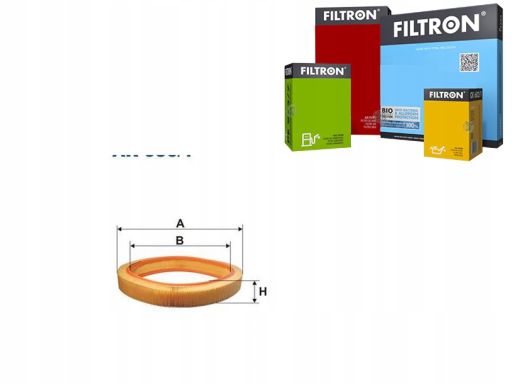 Filtr Powietrza Ar 036/1