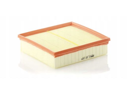 Filtr Powietrza C 22 020
