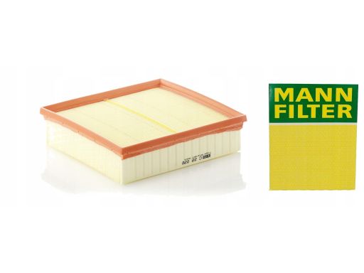 Filtr Powietrza C 22 020