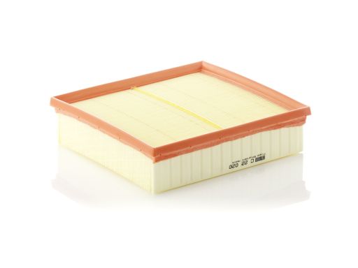 Filtr Powietrza C 22 020