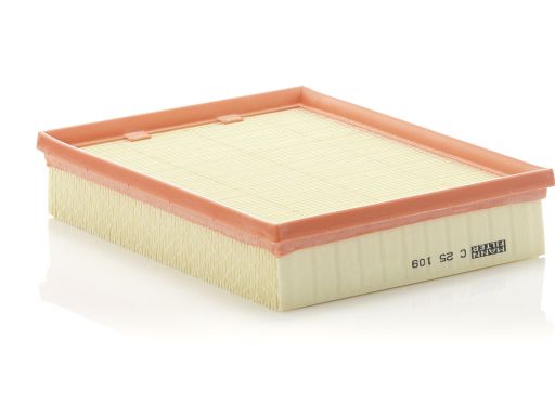 Filtr Powietrza C 25 109