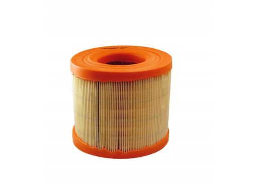 Filtr Powietrza Ar 302/1