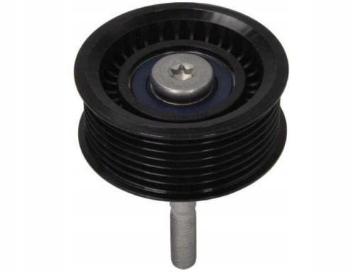 532 0792 10 Rolka Prowadząca Pasek Wielorowkowy (Tworzywo Sztuczne) Pa