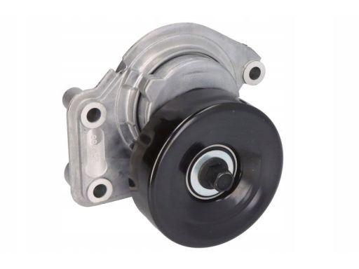 534 0350 10 Napinacz Paska Wielorowkowego Pasuje Do: Lexus Gs, Gx, Ls,