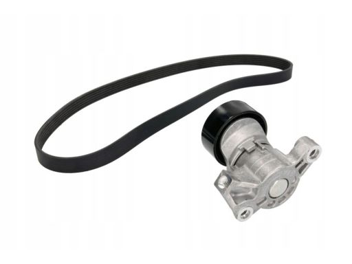 529 0235 10 Zestaw Pasków Wielorowkowych (Z Rolkami) Pasuje Do: Audi A