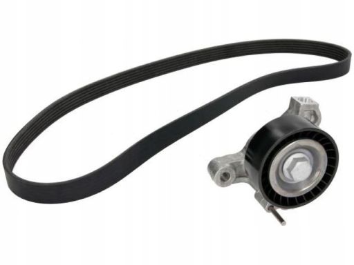 529 0235 10 Zestaw Pasków Wielorowkowych (Z Rolkami) Pasuje Do: Audi A