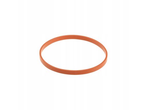 Uszczelka kolektora dolotowego Mercedes M260 M264