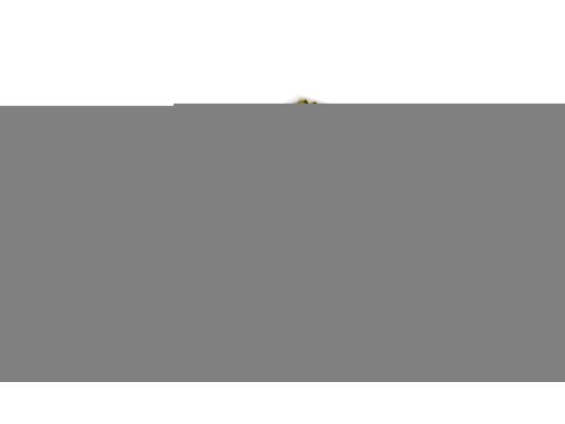 Filtr Kabiny Fp 26 005