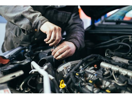 Sprzęgło Jednokierunkowe Alternatora 535 0282 10