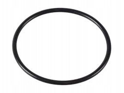 Oring Uszczelka Filtra Oleju Mercedes M152 M157 M176 M177 M178 M266 M2