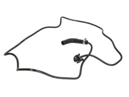 Wąż Chłodnicy 19972