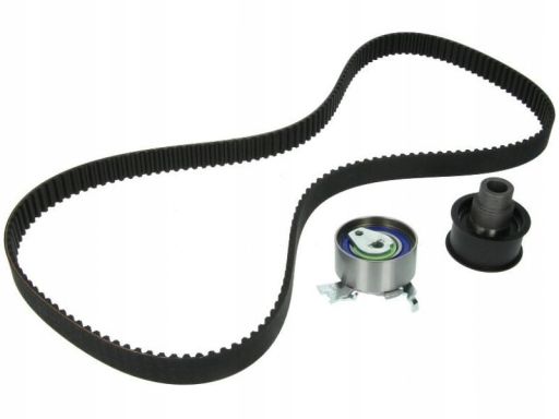 Zestaw Paska Rozrządu 530 0079 10