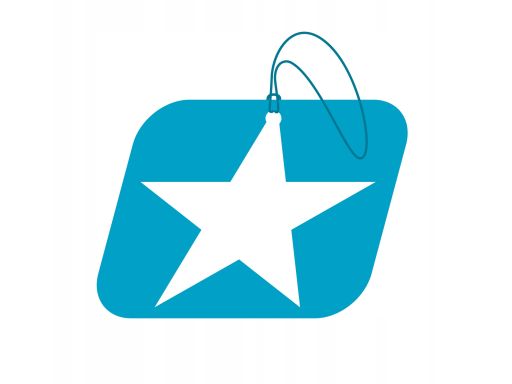 Filtr Powietrza C 17 134