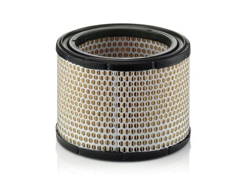 Filtr Powietrza C 1989/1