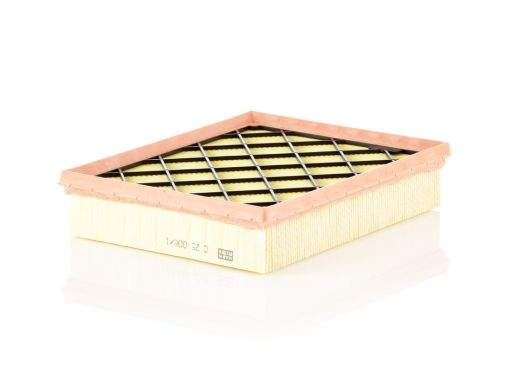 Filtr Powietrza C 25 008/1