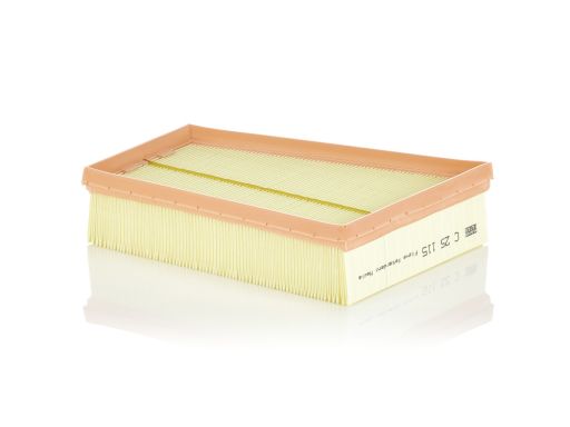 Filtr Powietrza C 25 115