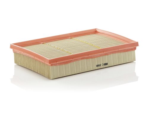 Filtr Powietrza C 2589