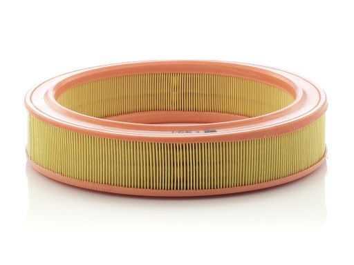 Filtr Powietrza C 2873/1