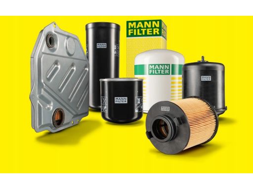 Filtr Powietrza C 31 014