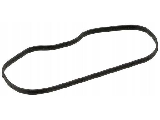 Uszczelka Pokrywy Rozrządu 366.370