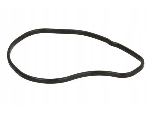 Uszczelka Pokrywy Rozrządu 648.290