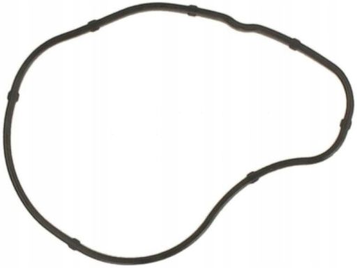 Uszczelka Pokrywy Rozrządu 648.290