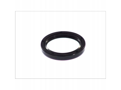 Uszczelniacz Wału Korbowego 151.510