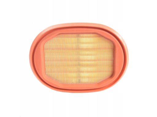 Filtr Powietrza Cf 2550