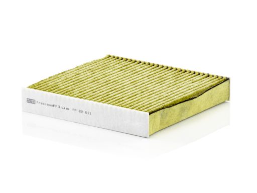 Filtr Kabiny Fp 22 011