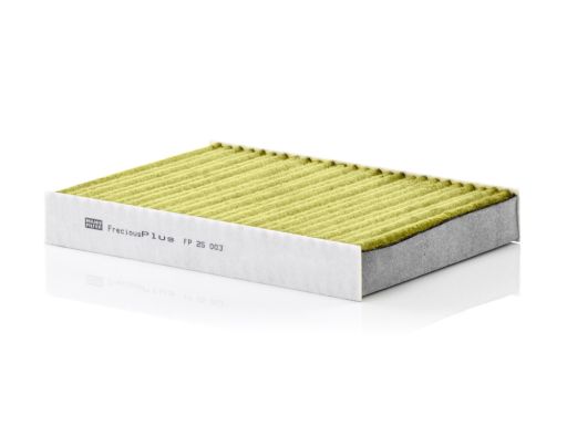 Filtr Kabiny Fp 25 003