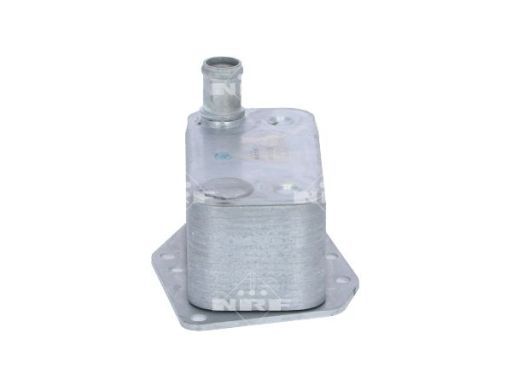 Chłodnica Oleju 31217