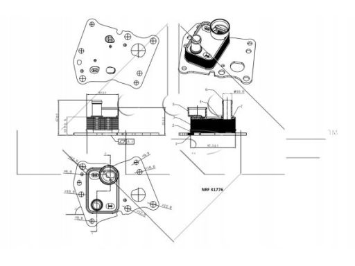 Chłodnica Oleju 31776