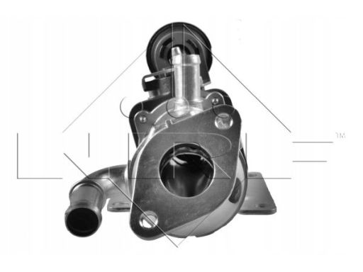 Chłodnica, Recyrkulacja Spalin 48011