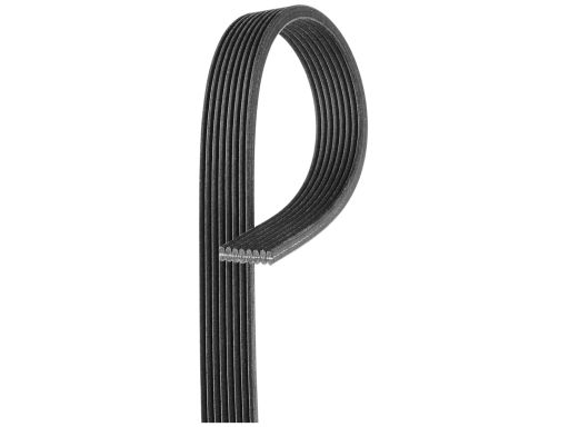 Pasek Wieloklinowy 8Dpk1445