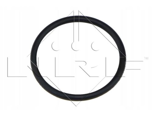 Chłodnica Oleju 31321