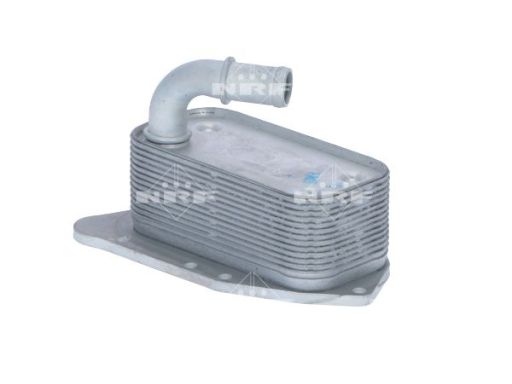 Chłodnica Oleju 31341