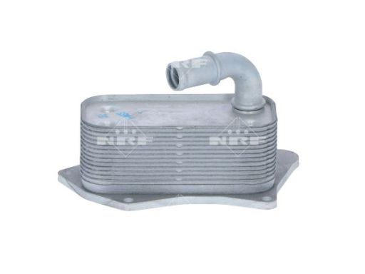 Chłodnica Oleju 31341