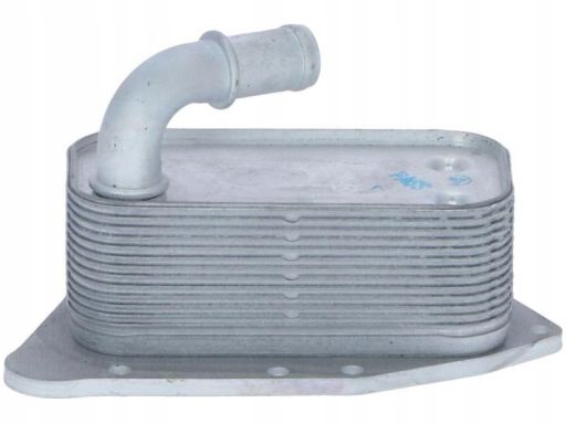 Chłodnica Oleju 31341