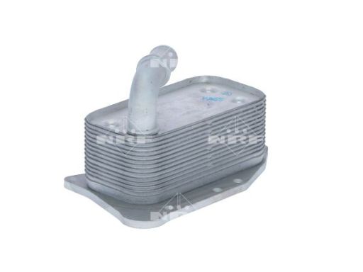 Chłodnica Oleju 31341