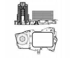 Chłodnica Oleju 31827