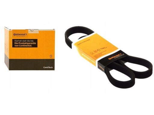 Pasek Wieloklinowy 6Dpk1195