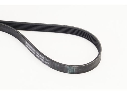 Pasek Wieloklinowy 6Pk1173