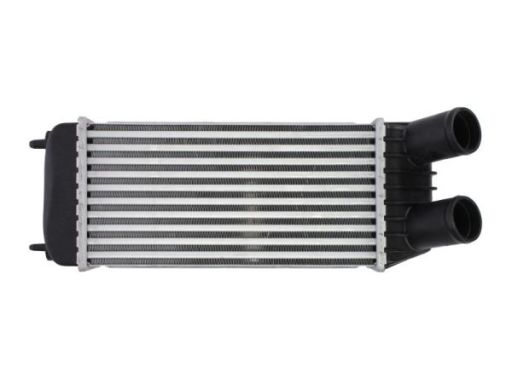 Chłodnica Powietrza Doładowującego Dap006Tt