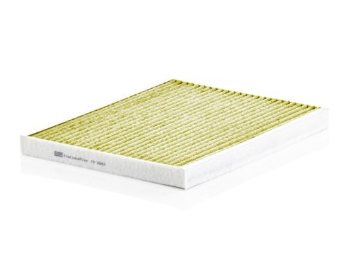 Filtr Kabiny Fp 2243