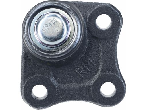 Sworzeń Wahacza 17619 02