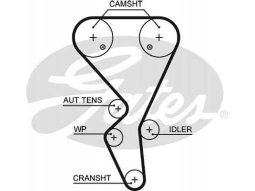 Pasek Rozrządu 5581Xs