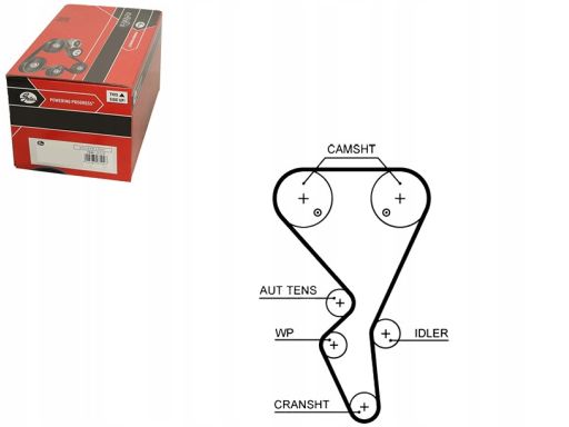 Pasek Rozrządu 5581Xs