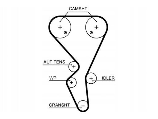 Pasek Rozrządu 5581Xs