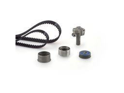 Zestaw Paska Rozrządu K02T313